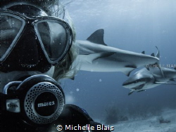 While doing a Shark Dive with Stuart Coves in Bahamas, I ... by Michelle Blais 